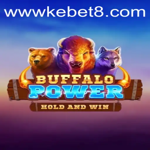 Exploring the Excitement of BuffaloPower: A Game-Changing Adventure